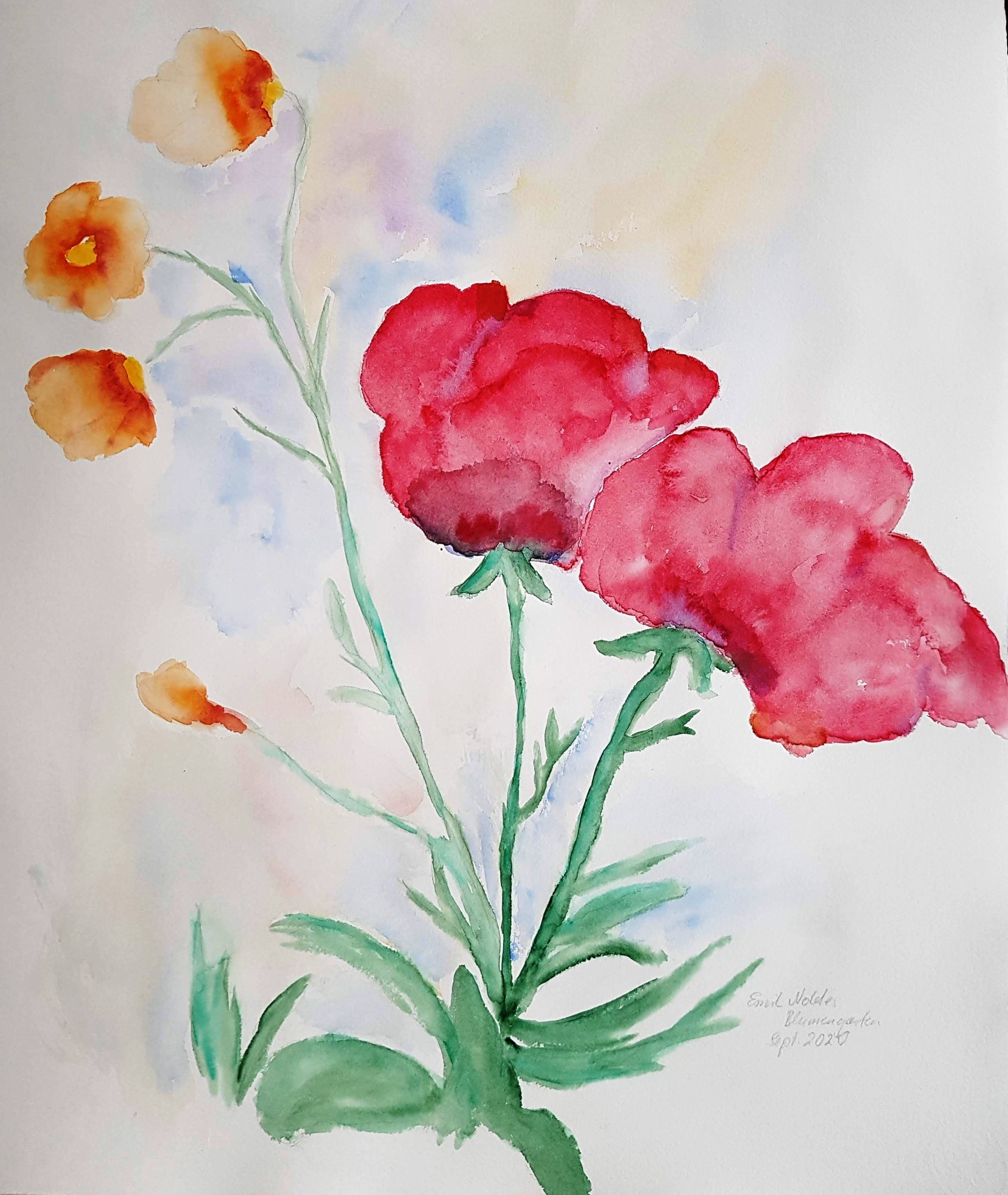 Mohn  U. Schmitt-Wischmann 2020